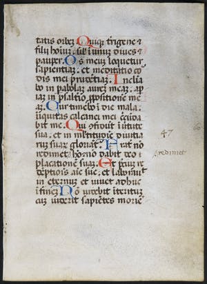Curiosa - Geïllumineerde tekst op perkament uit een getijdenboek kopen? Bied vanaf 50!