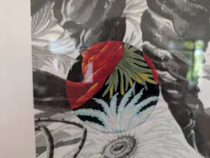 Arjan van Arendonk - Re-organisation I kopen? Bied vanaf 100!