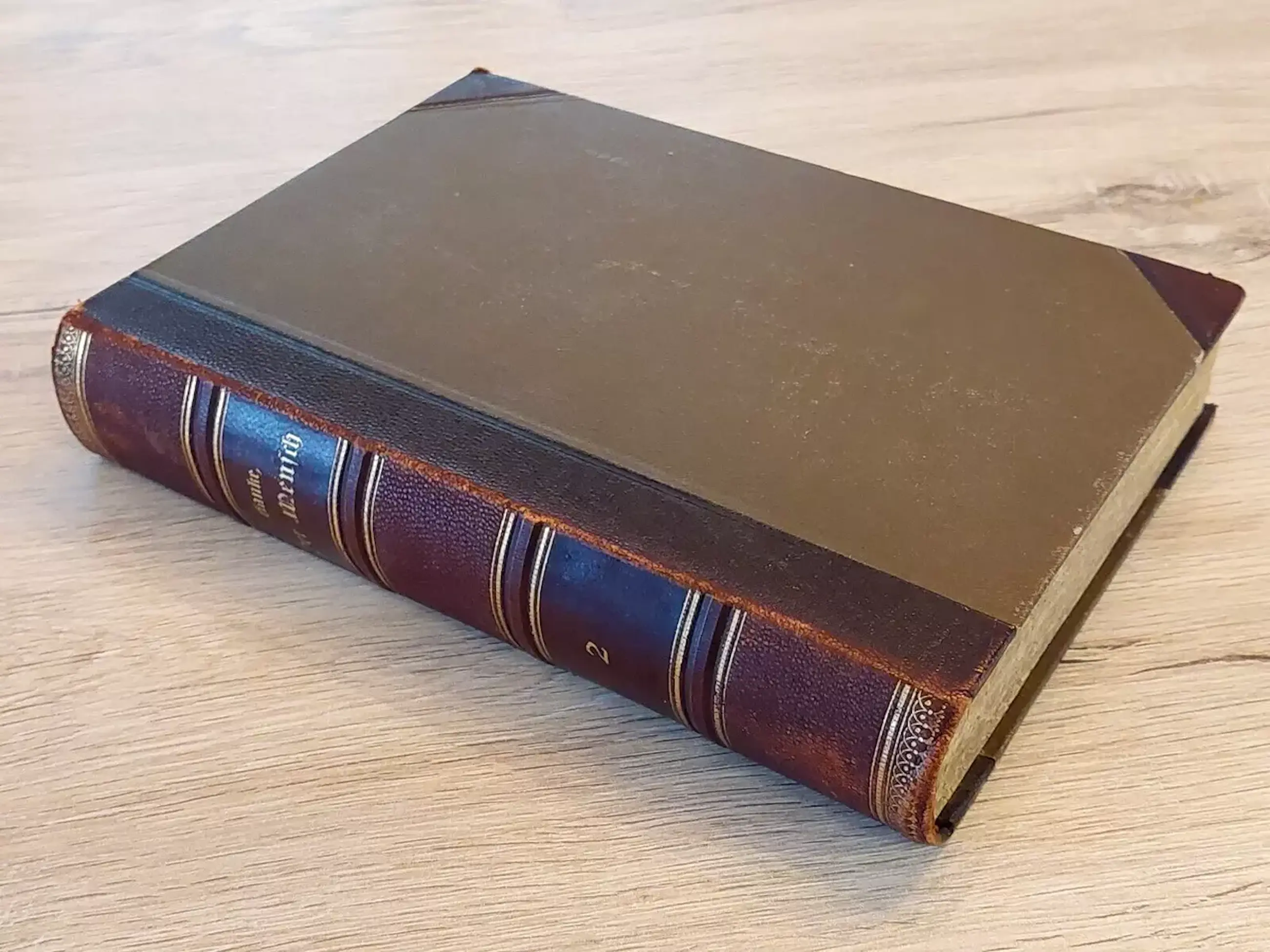 Antiquarisch Boek - 1900 Ranke, Dr. Johannes - Der Mensch. Zwei Bände ...