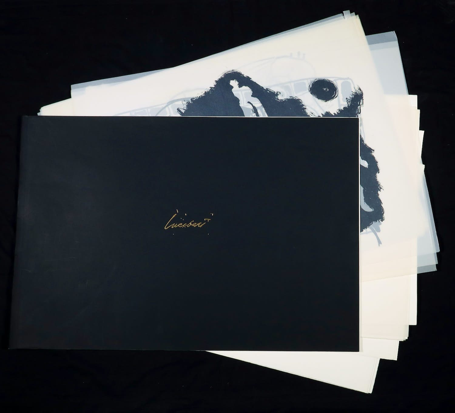 Lucebert - Portfolio met 31 litho's, January kopen? Bied vanaf 200!