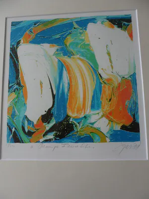 JAS - Zeefdruk, Orange Favorite - Ingelijst kopen? Bied vanaf 35!