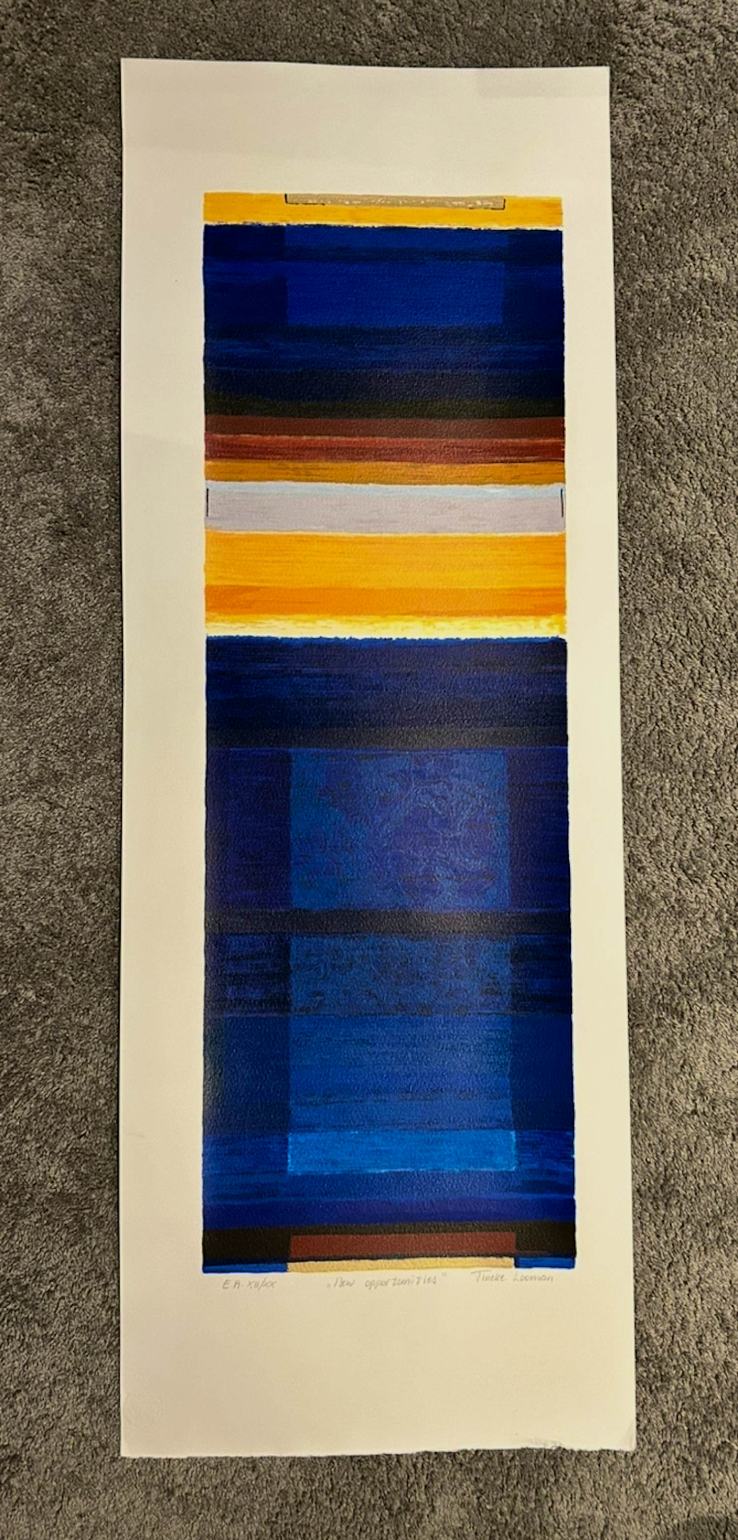 Tineke Looman - New opportunities kopen? Bied vanaf 20!