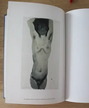 Marlene Dumas - boek: wet dreams kopen? Bied vanaf 45!