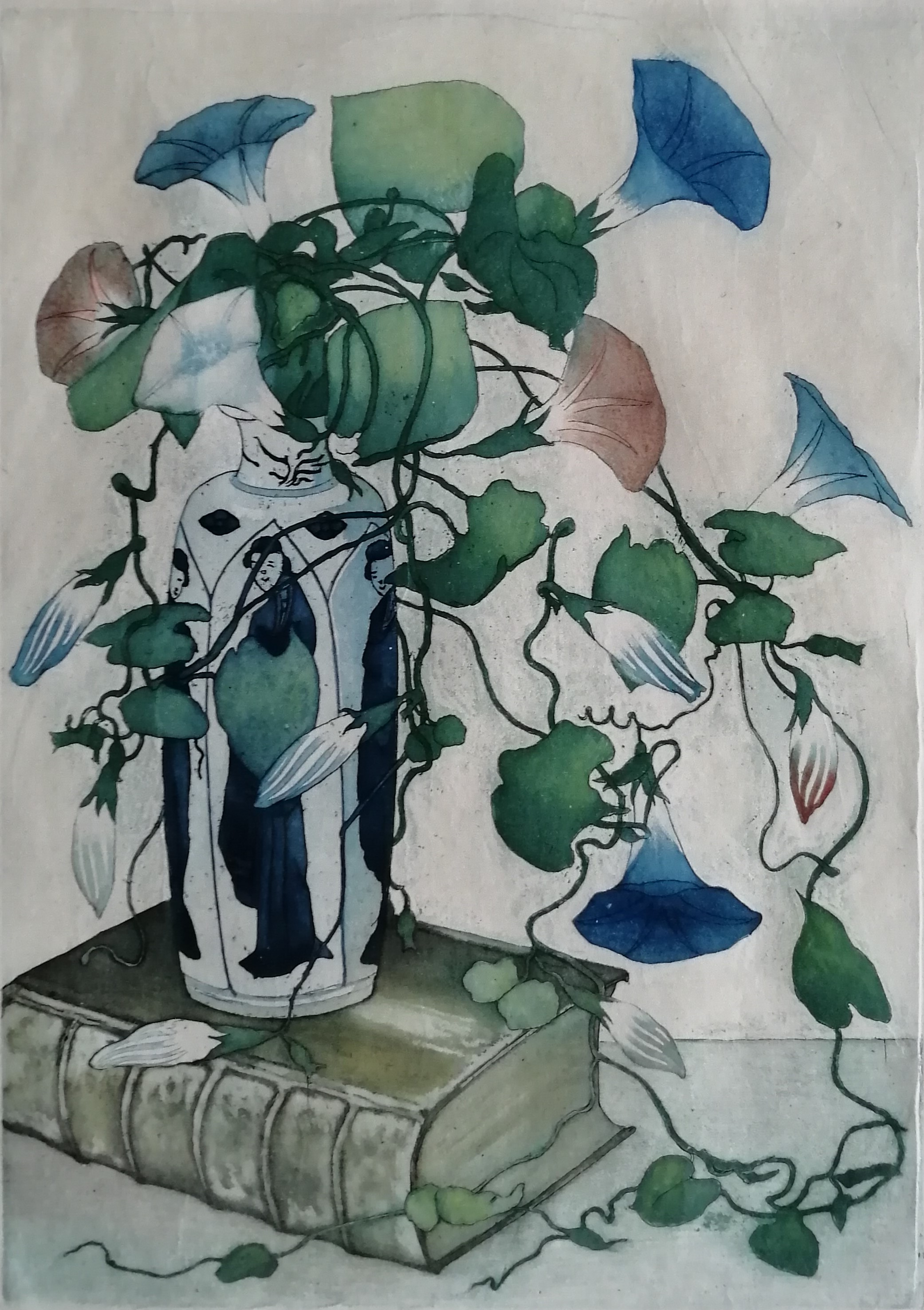 Frans Everbag - Tak met akkerwinde kopen? Bied vanaf 70!