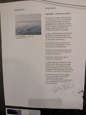 Dicky Brand - AMELAND kopen? Bied vanaf 20!