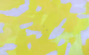 Bernard Koelman - Olieverf op doek, 24 - Ingelijst (Groot) kopen? Bied vanaf 50!