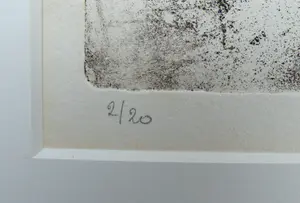 Hans Buining - Vogels kopen? Bied vanaf 40!