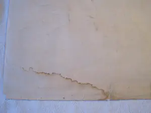 Frits Vanen - Adam en Eva kopen? Bied vanaf 35!