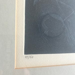 Albert Debois - Zeldzame Litho - Zonder titel - 45/50 - 1977 kopen? Bied vanaf 85!
