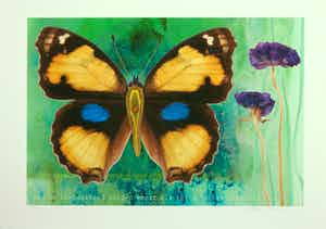 Mark Verdoes - Giclée, Van de tienduizend dingen... verkocht voor € 1!