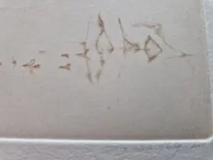 Mira den Hartog - magnifieke droge naald Ets "naakt aan waterkant" - zeer kleine oplage (10) kopen? Bied vanaf 38!
