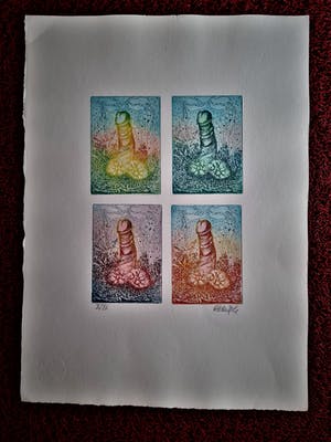 Hadewijch Ouwendijk - Zeer kleine oplage (20ex) Handgekleurde Litho "vier jaargetijden" kopen? Bied vanaf 1!