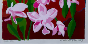 Henk van der Plas - Bali VII kopen? Bied vanaf 55!