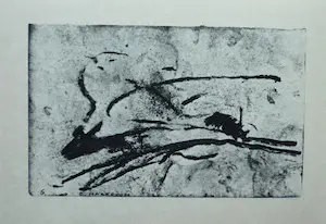 Waldo Bien - Tierra del Fuego kopen? Bied vanaf 1!