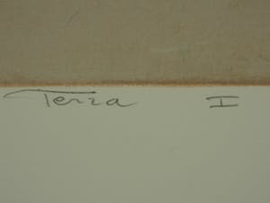 Ron van der Werf - Terra I kopen? Bied vanaf 50!