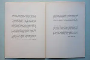 Joan Miro - Album 19 kopen? Bied vanaf 2000!