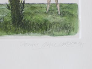 Jean Paul Vroom - Metamorfose - Kleurets kopen? Bied vanaf 1!