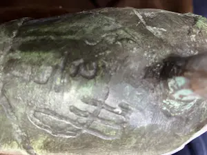 AcheterMarion Visione - Maangodin Luna? Enchérissez de 695!
