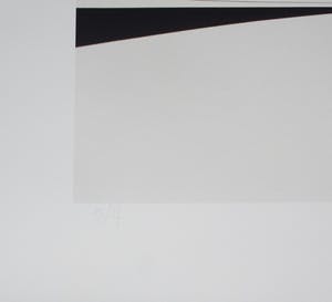 Peter Ruting - The Divided Landscape kopen? Bied vanaf 50!