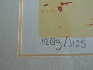 Ingo Leth - 2 X INGO LETH EN 1 X MARJOLIJN VAN GINKEL IN EEN KOOP kopen? Bied vanaf 34!