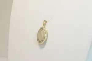 50 - 14 karaats bicolor gouden Medaillon hanger versierd met bloemmotieven kopen? Bied vanaf 190!