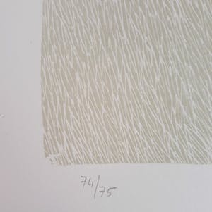 Yoshiko Noma - Fleures I, litho kopen? Bied vanaf 125!