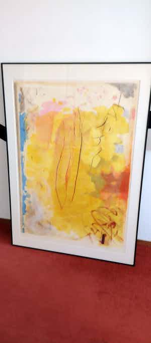 Peter Schenk - Prachtig groot werk in nieuwe lijst 121x85cm verkocht voor € 175!