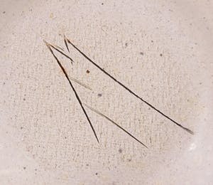 Ed Meissenberg - Aardewerk, 15-delig serviesset kopen? Bied vanaf 1!