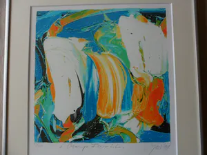 JAS - Zeefdruk, Orange Favorite - Ingelijst kopen? Bied vanaf 35!