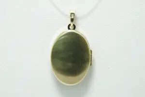 51- Fraai bewerkte ovaal vormige 14 Krt geel-gouden medaillon hanger kopen? Bied vanaf 80!