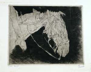 Jules De Bruycker - oude paard verkocht voor € 310!