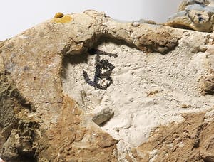 Joyce Bloem - Beschilderd keramiek, Vrijgevormd vogel figuur kopen? Bied vanaf 1!