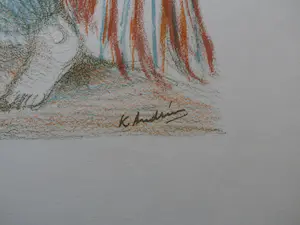 Kees Andrea - litho - de baadster kopen? Bied vanaf 35!