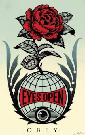 Shepard Fairey - Obey lithografie 61x91cm gesigneerd kopen? Bied vanaf 5!
