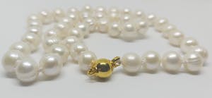 Zoetwaterparel Collier 14K gouden slotje 49cm kopen? Bied vanaf 65!