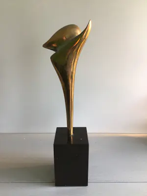 Ruurd Hallema - “ ADIEU “ kopen? Bied vanaf 229!