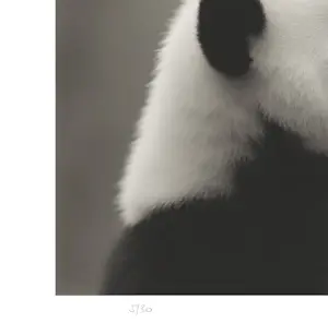 Mr Strange - Japanse Verhalen (III) kopen? Bied vanaf 85!