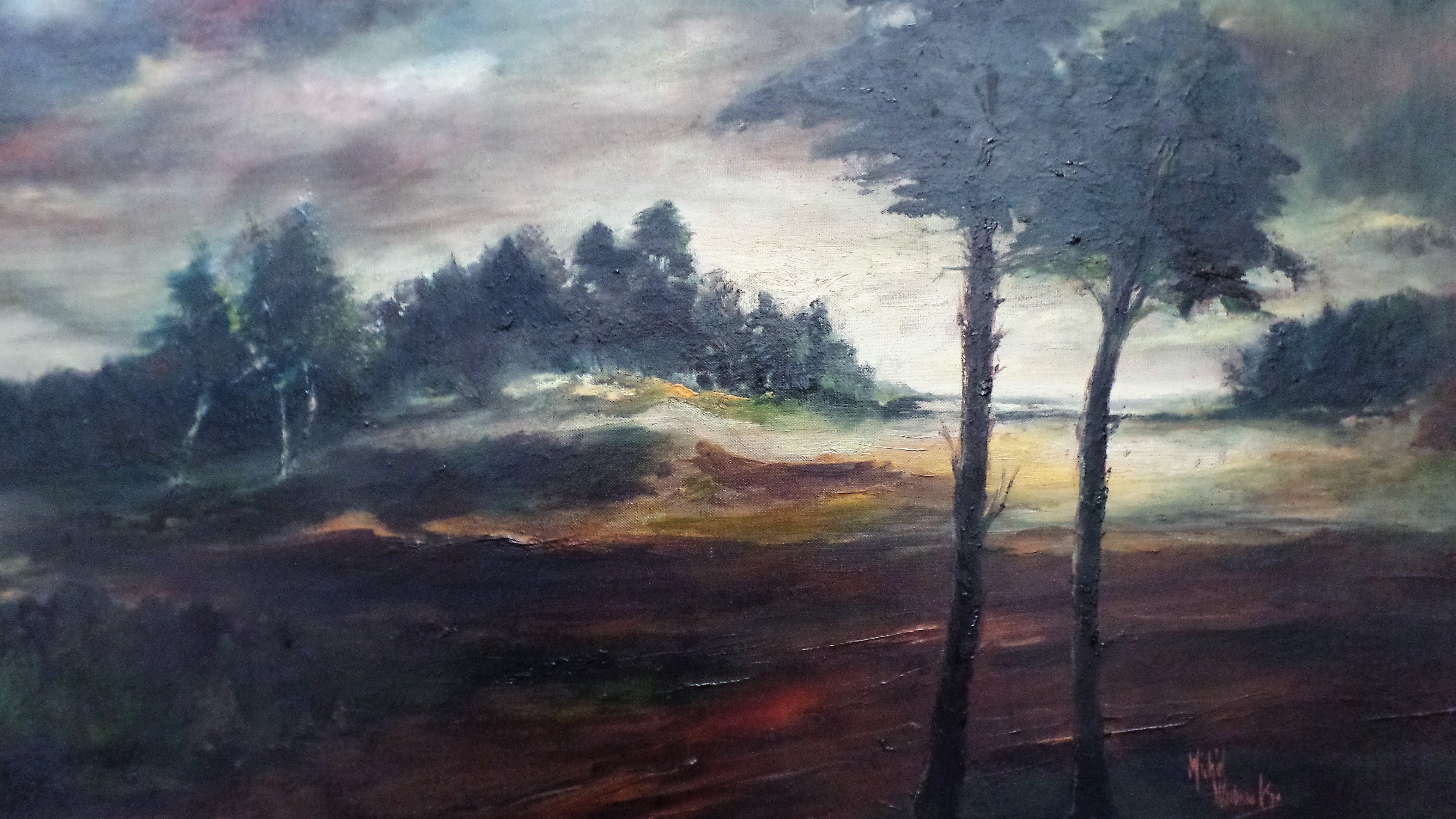 Michiel Warbroek - Zandverstuiving Heeze-Leende olieverf  kopen? Bied vanaf 75!