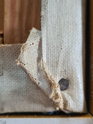 Niet of onleesbaar gesigneerd - Picasso achtig werk kopen? Bied vanaf 1!