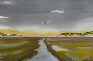 Franklin Meijer - Texel - de Slufter kopen? Bied vanaf 30!