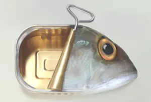 Dominic Rouse - 'Fish Can & Fish Can't' (2011) - Twee prints kopen? Bied vanaf 140!