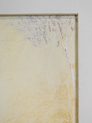 Carla Raadsveld - Twins kopen? Bied vanaf 100!