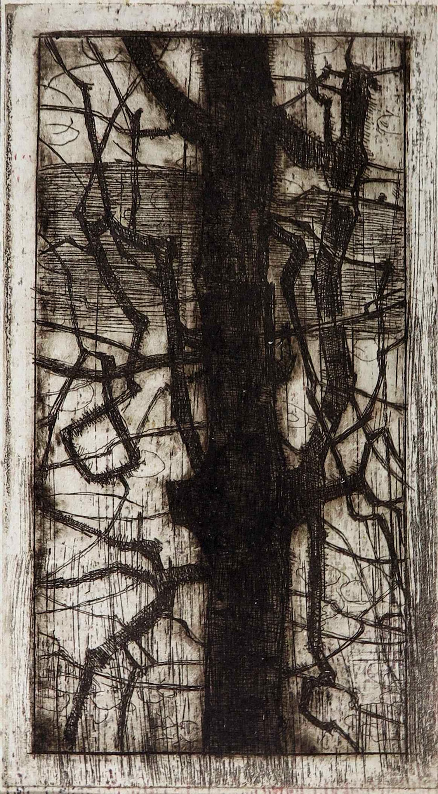 Wim Steijn - Ets, Boom verkocht voor € 1!