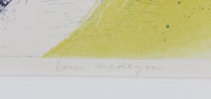 Hans Vredegoor - Ets en aquatint, Zonder titel kopen? Bied vanaf 1!