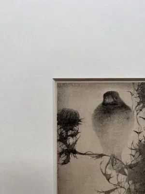 Jan Mankes - Originele Heliogravure Puttertje op Tak 1923 kopen? Bied vanaf 135!