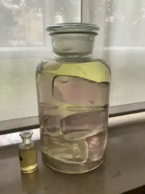 Olaf Mooij - Relics of a Bygone Era: Transparante kevereieren en Spermatozoïde verkauft für € 700!