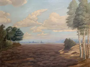 Sam Schellink - Landschap kopen? Bied vanaf 100!