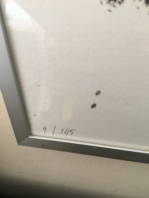 Alphons Freijmuth - onbekend kopen? Bied vanaf 75!
