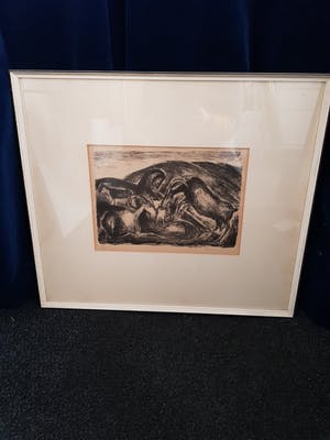 Kees Andrea - Weide met geiten kopen? Bied vanaf 5!