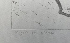 Harrie Gerritz - kleurenets - 'Vogels en alarm' - 1985 kopen? Bied vanaf 60!